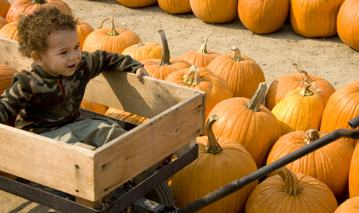 7 Fun Fall Activities for Kids, Toddlers, and Babies