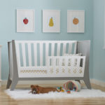 Contours Rockwell Crib with the toddler rail
